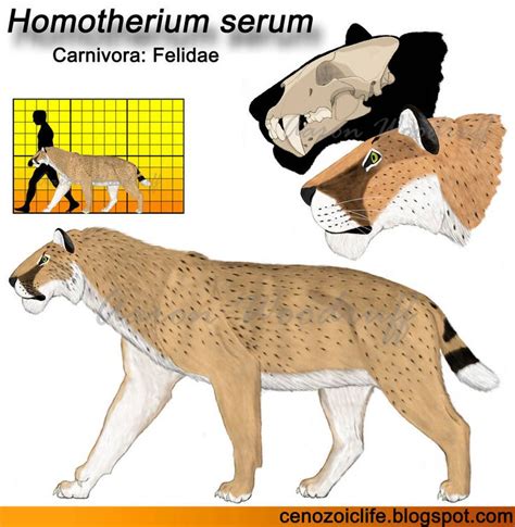 Homotherium serum model by CenozoicKing | Prehistoric animals, Ancient ...