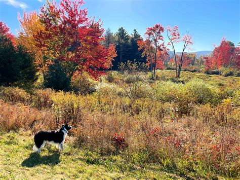 Wood's Market Garden | Brandon VT