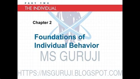 Foundations Of Individual Behavior Chapter2 Youtube