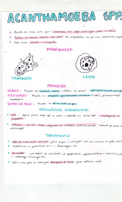 Acanthamoeba Spp Parasitologia