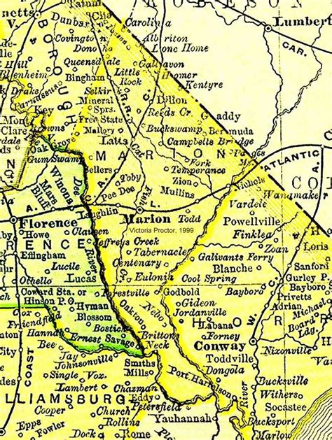 Marion County South Carolina 1895 Map