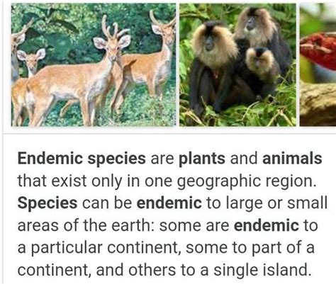 B Define Deforestation Recycling Endemic Species Brainly In