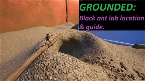 Grounded Black Ant Lab Guide YouTube