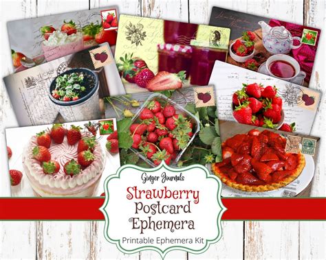 Strawberry Postcard Ephemera Junk Journal Printable Etsy