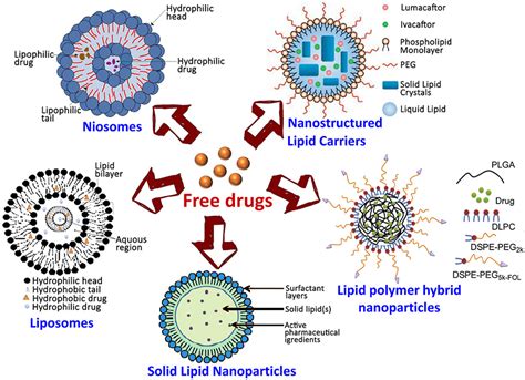 Lipid Based Nanocarriers Production Techniques Concepts And