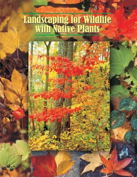 Landscaping For Wildlife With Native Plants North Carolina State University Pdf