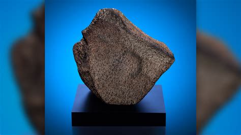 World's largest Martian meteorite goes on display | Live Science