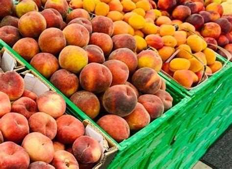 Coldiretti Con Il Caldo 20 Consumi Di Frutta In 7 Giorni Cronaca