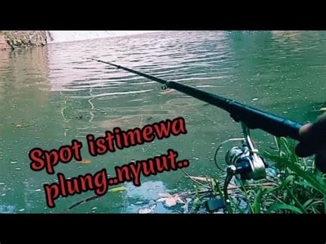 Plung Nyuut Mancing Wader Di Spot Istimewa Putuindiamancing