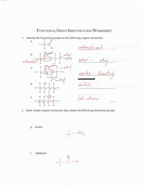 Solved Naming And Drawing Functional Groups Practice Chegg