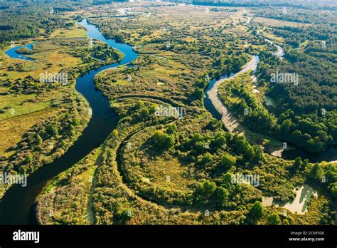 Aerial View Green Forest Woods And River Landscape In Sunny Summer Day