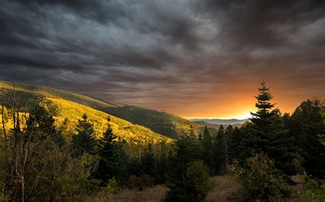 Fond Décran Lumière Du Soleil Des Arbres Paysage Forêt Tomber