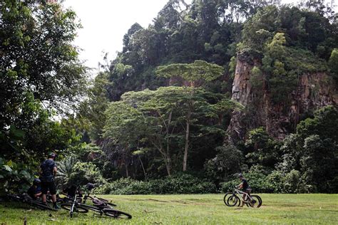 Bukit Timah Nature Reserve Mountain Bike Trail Guide