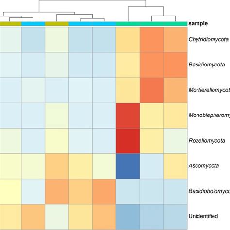 Krona Chart Showing The Abundances Of Different Fungal Taxonomic Levels