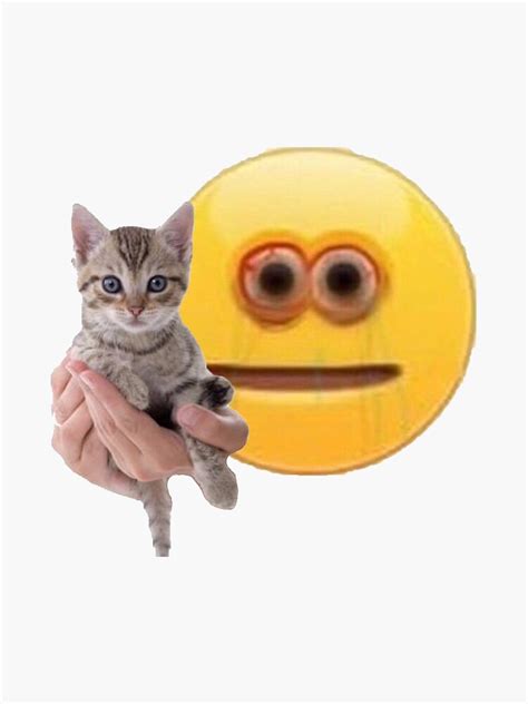 Cursed Emoji With Cat Sticker For Sale By Pandazo Redbubble