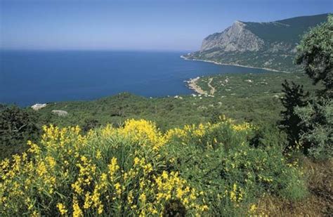 Black Sea - Climate, Mediterranean, Temperate | Britannica