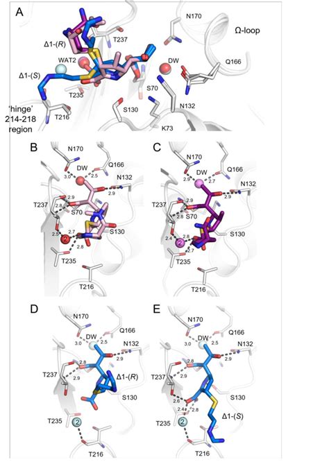 Hydrogen Bonding Interactions In The Kpc E Q Carbapenem