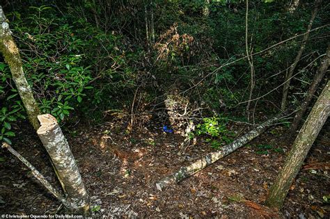 Wooded Area Where Missing Georgia Mom Debbie Collier Was Found Murdered