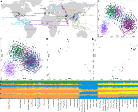 Geographical Information And Genetic Structure Based On Indel Markers