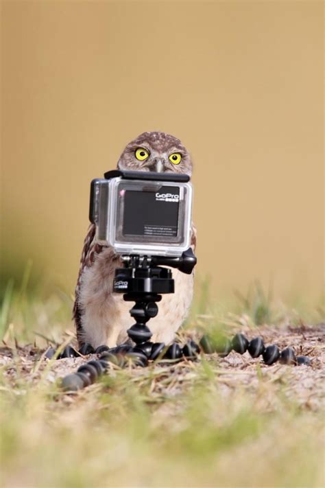 Seniorennet Grappig Of Schattig Kijk Eens Naar Het Vogeltje