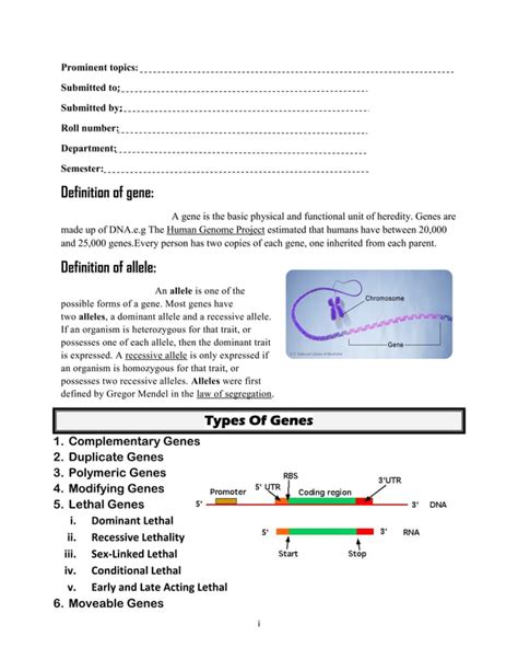 Definition Of Gene Allele Types Of Gene Structure Of Gene And Heredity