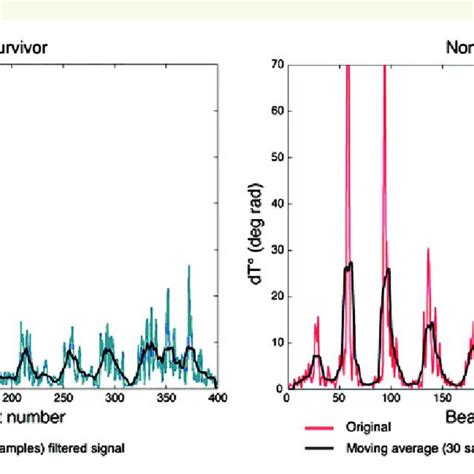 Low Frequency Oscillations Of The Ecg T Wave Vector And Ventricular