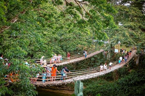 Bamboo Hanging Bridge, Bohol - what you need to know - Daily Travel Pill