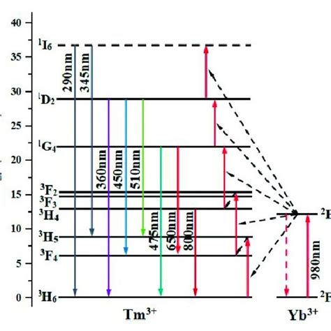 Schematic Diagram Of Energy Level Transition Of Yb 3 And Tm 3 Ions