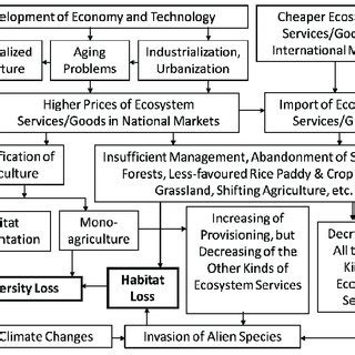 Interactions among biodiversity loss and ecosystem services in Satoyama ...