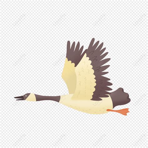 Hand Drawn Autumn Flying Geese PNG Picture And Clipart Image For Free