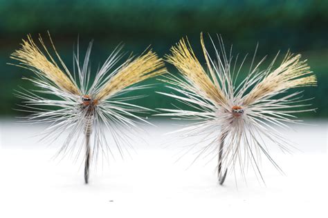 Quill Gordon Dry Fly