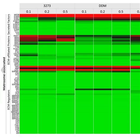 Heatmap Of Matrisome Proteins Detected In Each Condition Protein Download Scientific Diagram