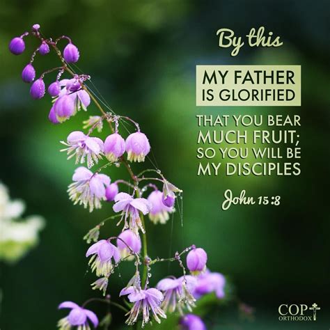 By This My Father Is Glorified That You Bear Much Fruit So You Will