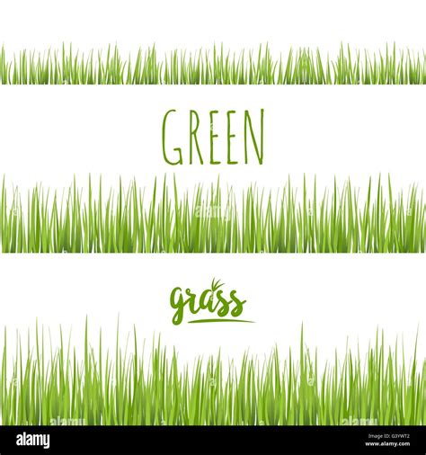 Set Realistic Green Grass Lawn Stock Vector Image And Art Alamy