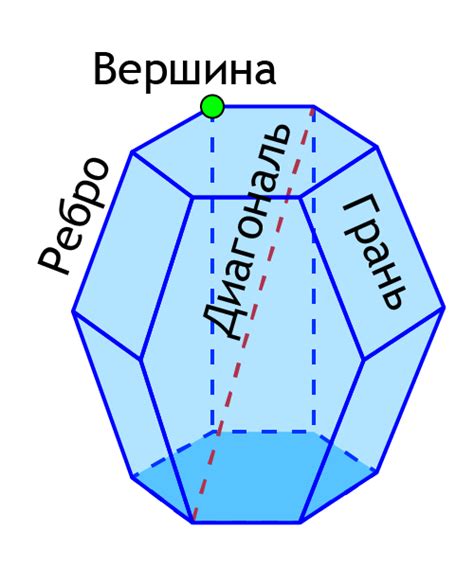 Облако знаний. Многогранники и их свойства. Развёртка многогранников ...