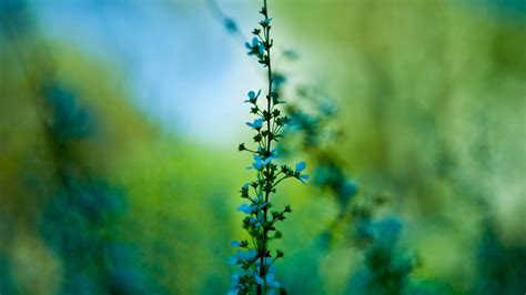 Wallpaper Sunlight Water Nature Reflection Sky Field Branch