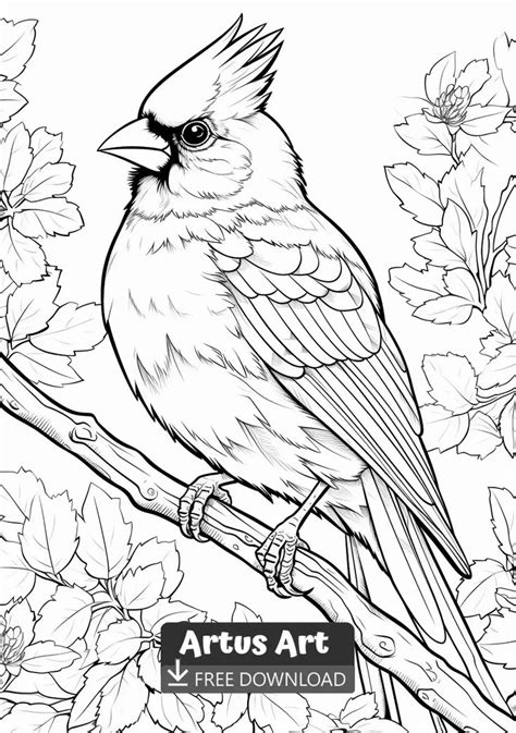 Northern Cardinal Coloring Page