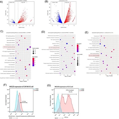 Upregulation Of Pd‐l1 Expression On Car Nk‐92 Cells Cocultured With