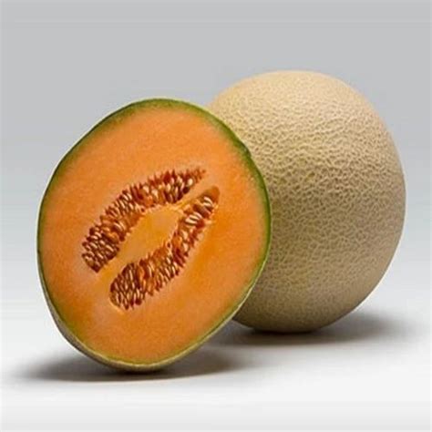 Hybrid Muskmelon Seed For Agriculture Pack Size 50 Gms At Rs 1230