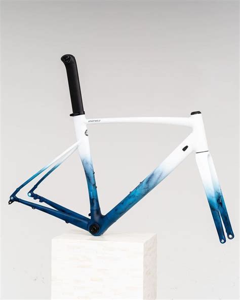 Pin By Gijs Timmer On Fiets Bicycle Paint Job Bicycle Painting