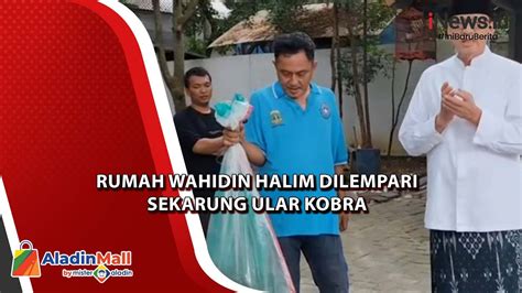 Ngeri Rumah Wahidin Halim Dilempari Sekarung Ular Kobra Jelang