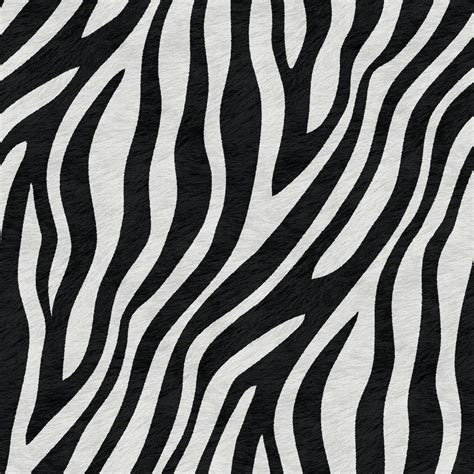 Classic Zebra Pattern Wallpaper - Buy Now at Happywall