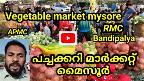 Vegetable market mysore Rmc Apmc പചചകകറ മർകകററ മസർ YouTube