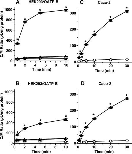 Time Course Of Uptake Of H Estrone Sulfate By Hek Oatp B