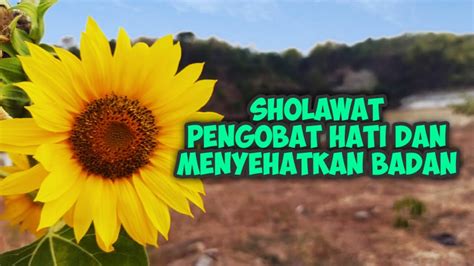 Sholawat Burdah Sholawat Pengobat Hati Sholawat Nabi No