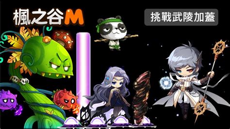 Maplestorym楓之谷m 挑戰！武陵違建！ 20221117 Youtube