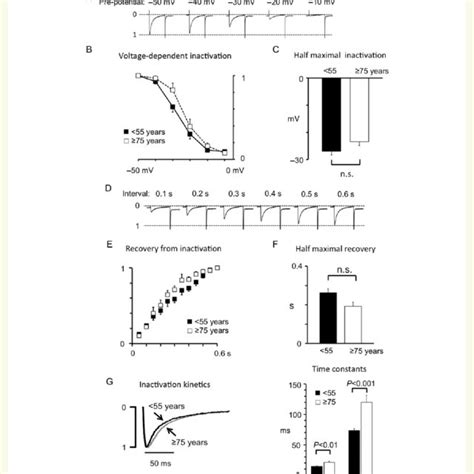 Effects Of Ageing On The Intracellular Calcium Transient A Calcium Download Scientific