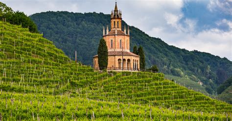 Bagnoli Wine Region In Veneto Italy Winetourism