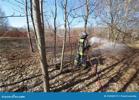 Firefighter Is Irrigating In The Forest With Naked Stock Image Image