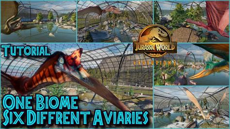 1 Biome 6 Different Aviaries Jwe2 Enclosure Tutorial Youtube